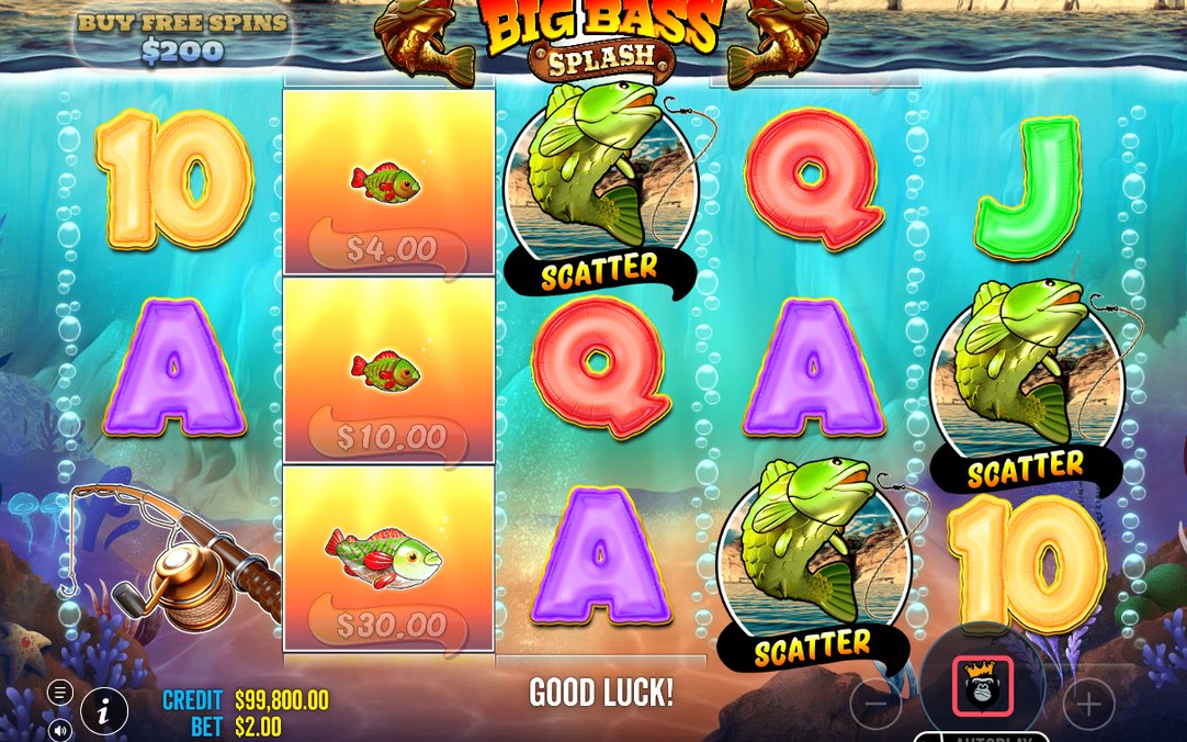 Fish showing MONEY values collected by the WILD